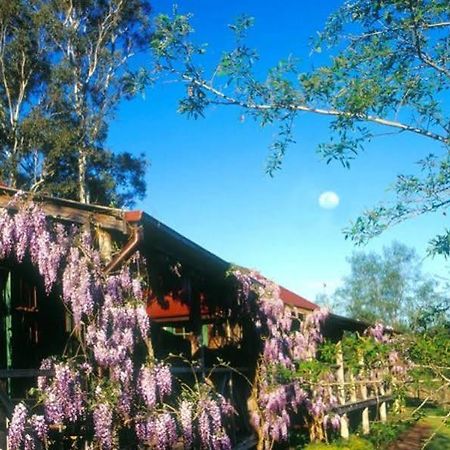 Cedar Creek Cottages Millfield Bagian luar foto