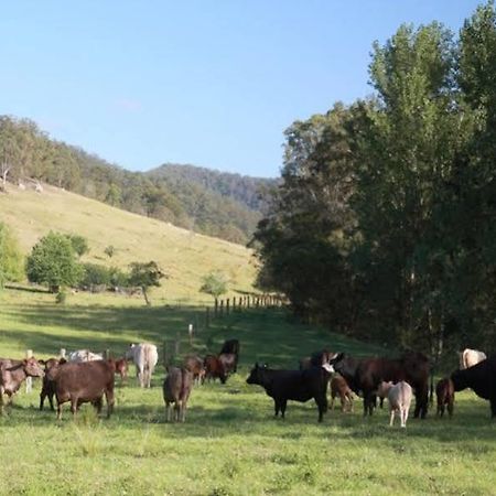Cedar Creek Cottages Millfield Bagian luar foto
