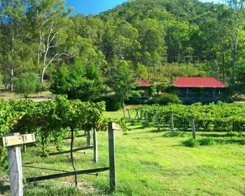 Cedar Creek Cottages Millfield Bagian luar foto