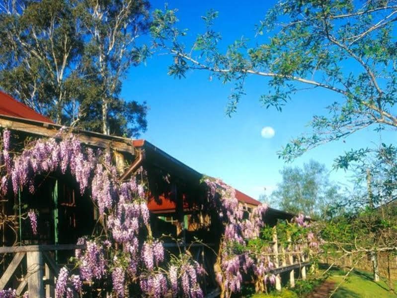 Cedar Creek Cottages Millfield Bagian luar foto